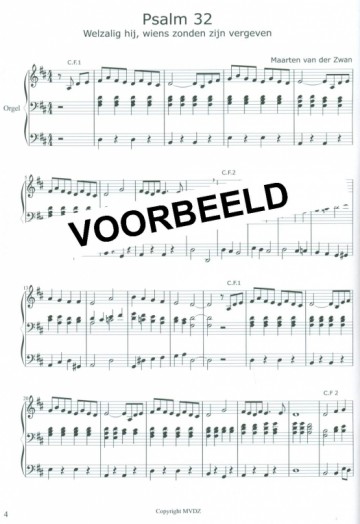 Zwan, Maarten van der - Koraalbewerkingen (2)