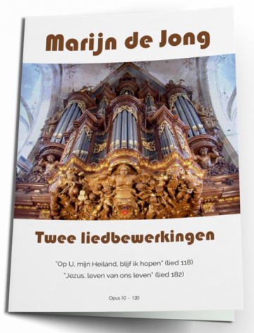 Marijn de jong liedbewerkingen