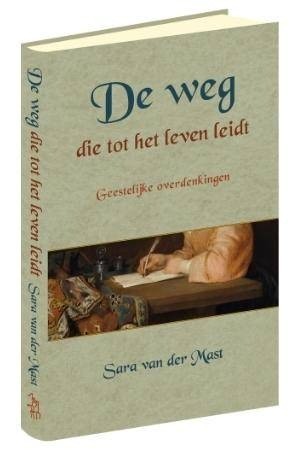 Mast de weg