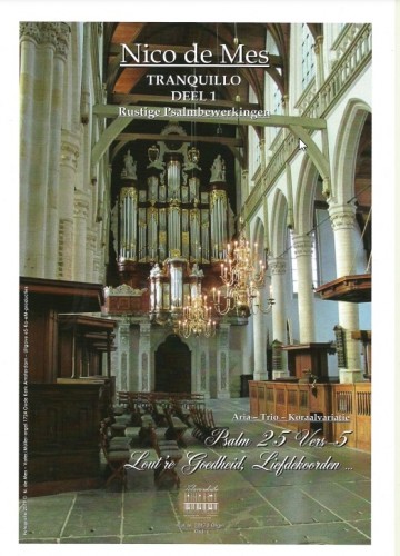 Nico de mes tranquillo deel 1 klavar