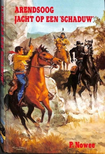 Nowee p   arendsoog jacht op een schaduw 9789020879445