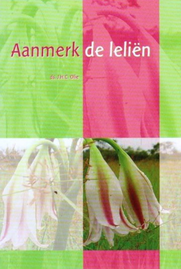 Olie ds jhc   aanmerk de lelieen