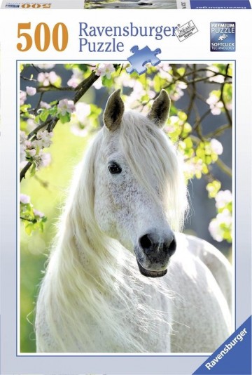 Ravensburge500