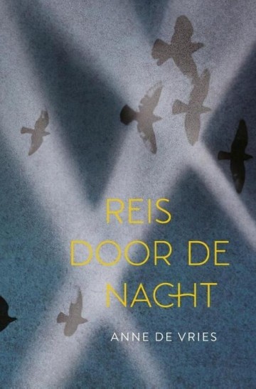 Reis door de nacht 0