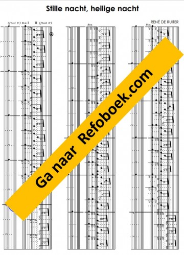 Rene de ruiter komt verwonder u hier mensen 29249internet voorbeeld