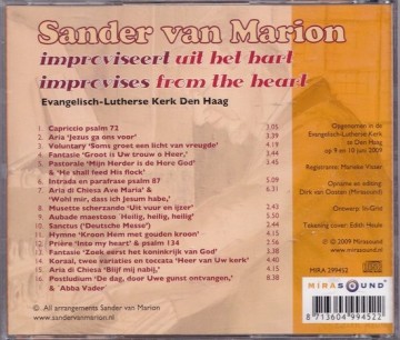 Sander back