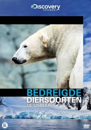 Discovery Channel - De bedreigde IJsbeer (Actie!)