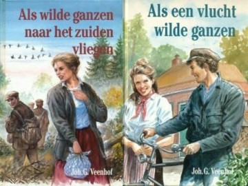 Veenhof - Wilde ganzen nh zuiden / Vlucht wilde ganzen