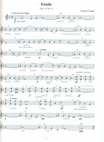 Puscoiu, Costel - Classical repertoire volume 2 incl. gratis PDF online!