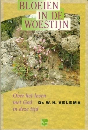 Velema, ds. J.H. - Bloeien in de woestijn