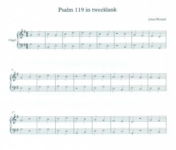 Wentink, Johan - Vereenvoudigde Psalmzettingen deel 2 in twee- en drieklank