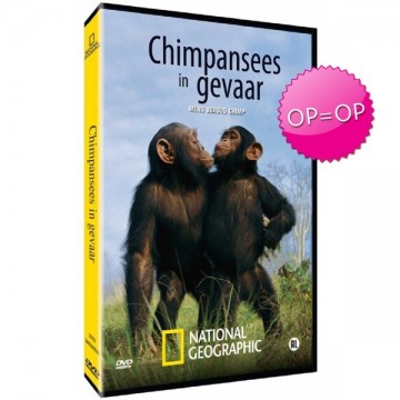 Chimpansees in gevaar - Mens versus Chimp