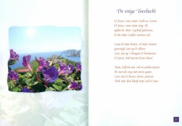 Priester, Christien de - Licht en Uitzicht (Nieuwstaat!)