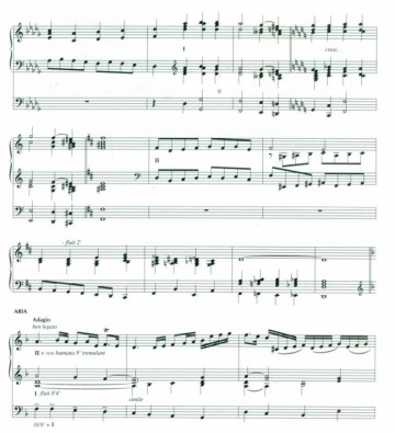 Veldman, Minne - Koraalbewerkingen (13)