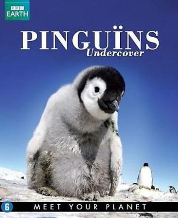 BBC - Pinguins Undercover - erg leuk (Actie!)