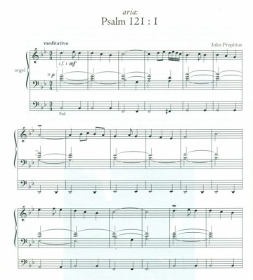 Propitius, John - Improvisaties (2)