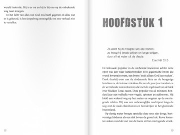 Beam, Christy - Het meisje dat God ontmoette