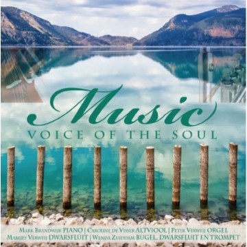 Brandwijk, Mark mmv dwarsluit, viool, trompet, bugel - Music Voice of the Soul