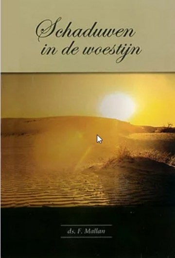 Schaduwen in de woestijn