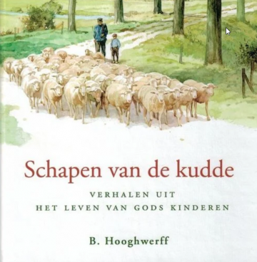 Schapen van de kudde