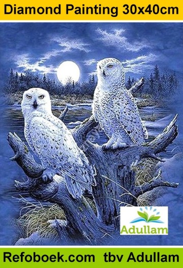 Sneeuwuilen bij maanlicht