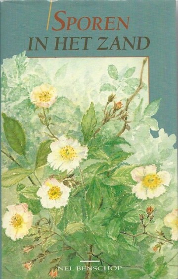 Sporen in het zand nel benschop 9024266815