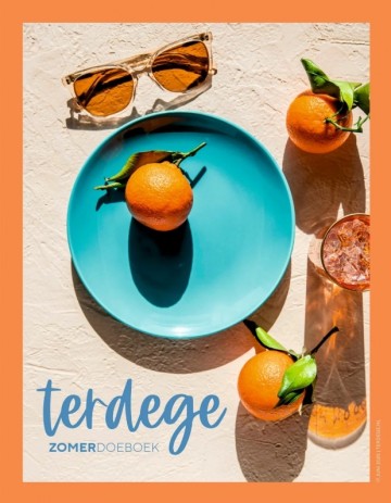 Terdege zomerdoeboek
