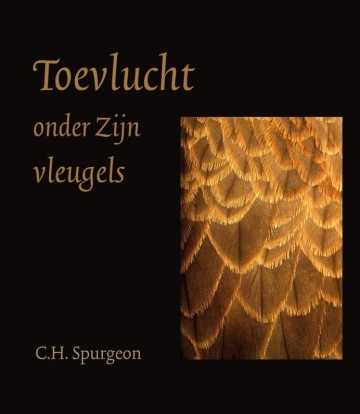 Toevlucht onder zijn vleugels