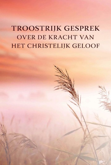 Troostrijk gesprek   9789462782808 willem leelinck 9789462782808