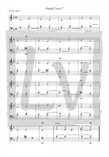 Verkamman   lesbundel 1  inside 3