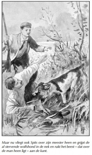 Schippers, W. - Vreewalds molen