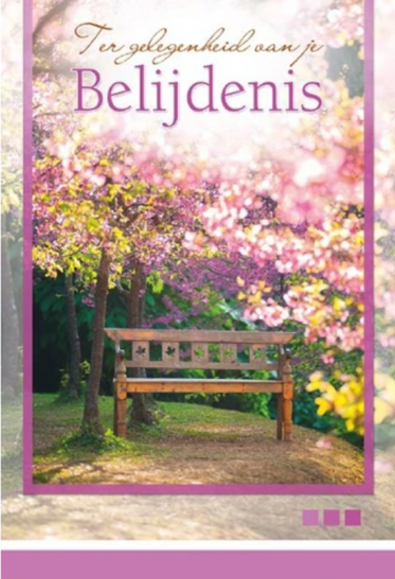 Wenskaart ter gelegenheid van je belijdenis met tekst statenvertaling sv