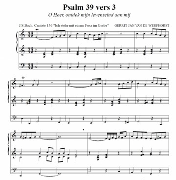 Werfhorst, Gerrit Jan van de - Hij die op Gods bescherming wacht