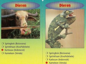Zendingskwartet dieren1