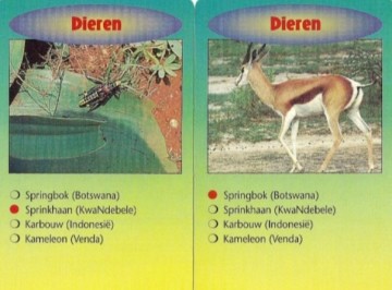 Zendingskwartet dieren2