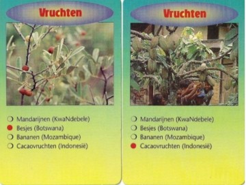 Zendingskwartet vruchten2