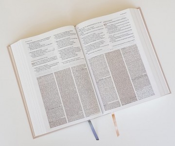 Zij lacht studiebijbel 9789065395146 12 1024x858