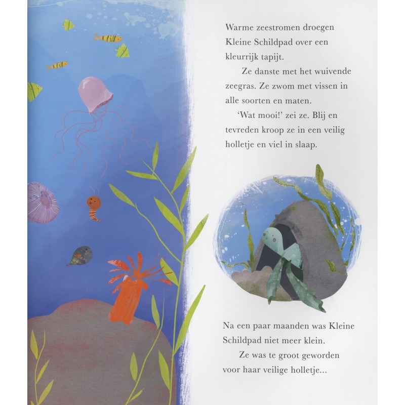 Davies, Becky - Kleine Schildpad en de grote zee - Prentenboeken